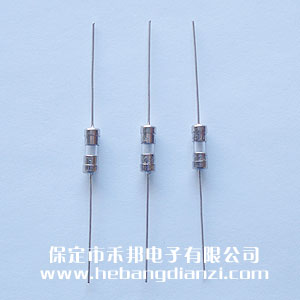 带引(yǐn)线保险3.6*10mm 10A 慢熔