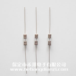 带引线(xiàn)保险3.6*10mm 8A 快熔